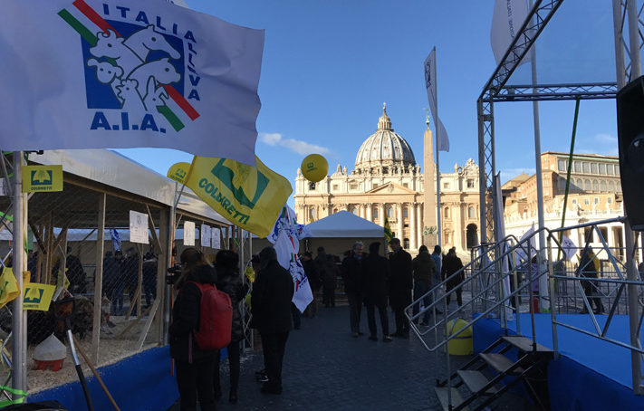 Roma – Benedizione degli animali al Vaticano per la festa di Sant’Antonio Abate. Video