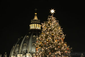 Accensione_Albero_Vaticano (11)